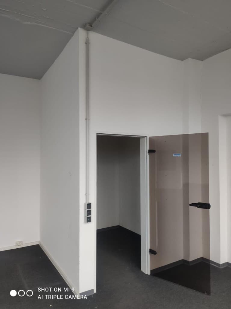 Fassadenarbeiten mit Gerüst an einem Einfamilienhaus im Grünen